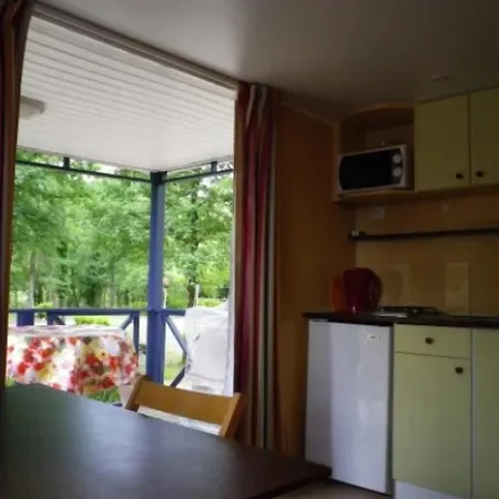 Zecamping 3 Etoiles Espace Aquatique Pet Friendly Mobil-home Bbq 4 Pers Tauriac (Lot)